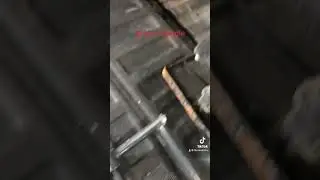 Ask China