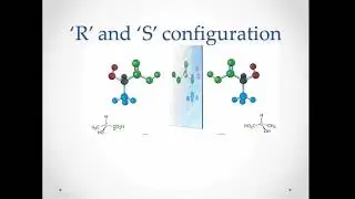 Lecture - Organic Chemistry