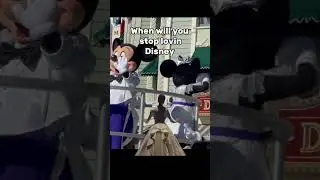 NEVER NEVER