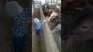 Помощник растёт