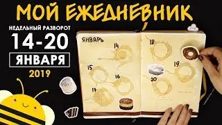 Оформление BULLET JOURNAL | Кофейный разворот на неделю - 14-20.01.19
