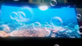 Amazing Earth (Starring Sonny/Ephraim Batungbacal) on GreenPeace has environment concern about ocean