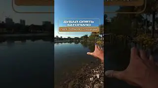 в ДУБАЕ ПОТОП🤯 дождь в Дубае ВЫЗВАЛ НАВОДНЕНИЕ парк DUBAI HILLS затоплен | Дубай 2024