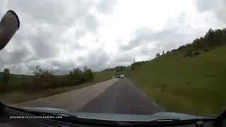 România Pitorească - Oi pe Dealul Silvașului