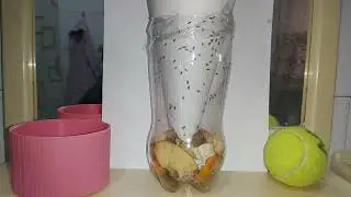 How to make - trap for fruit flies ~ Како се прави - замка за воћне мушице