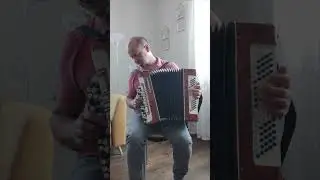Песня "Моей душе покоя нет" на баяне.