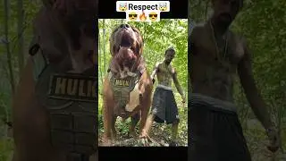 Respect 🔥😎🤯🤯 