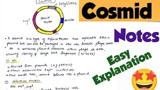 Cosmid vector # types of vector 