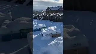 Первая подснежная зимовка