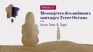 ÉPISODE 21/ Messagères des animaux sauvages Terre Océans - Leina Sato, Tippi