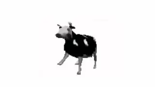 polish cow