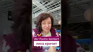 🇩🇪 Was machen die Tiere 🇩🇪 