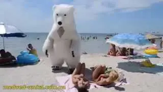 Прикол белый медведь на пляже