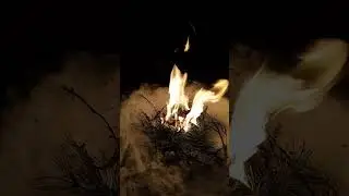 Bonfire Костëр
