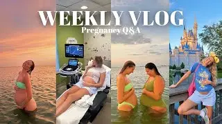 VLOG: high risk preg. appointment, sunset swim, Q&A & more!!