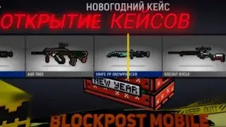 небольшое открытие куйсов