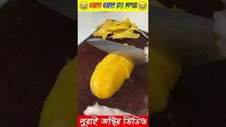 Malik ke Khabar Baniye Dilam 😱 #fact #amzingfacts #shortvideo #youtubeshorts