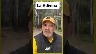😂LA ADIVINA 😂🔮