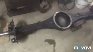 Gazelle business stocking replacement part 2