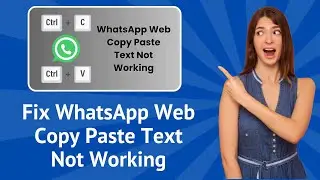 Fix WhatsApp Web Copy Paste Text Not Working - Step-by-Step