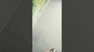 болтаю