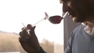 Las Mercedes - Chilean Wine