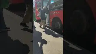 TfL Route 249 driver fails to follow the correct Big Red Book procedure