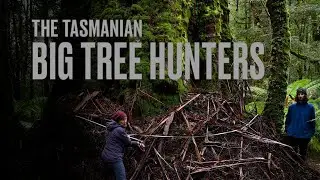 The Tasmanian Big Tree Hunters