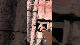 Tuiles ciment /beton . Un bon diagnostic pour un bon traitement
