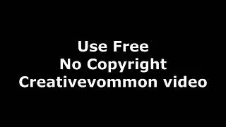 No  Copyright infringement Intro |