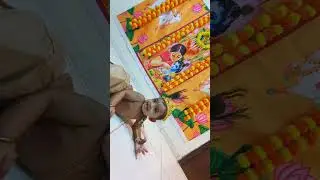 Ma inti chinni krishnudu #shorts #ytshorts #Krishna #janmashtamispecial