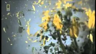 Nat Geo HD Breakfiller, Bumper, Promo & Ident