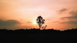 Pink Haze Sunset