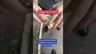 Куда спрятать шпоры на ЕГЭ ОГЭ #огэ #егэ #экзамены #школа
