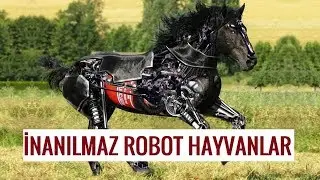 MUHTEŞEM ROBOT HAYVANLAR..