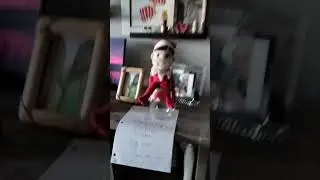 Hermy hunting part 1 (finding our elf on the shelf)