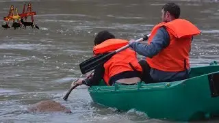 Horrible : un cerf noyé lors d'une chasse à courre dans l'Oise