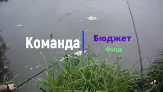 Ловля леща на Донце