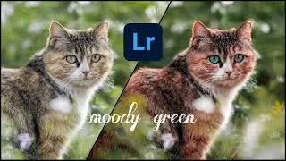 Moody green preset tutorial using lightroom mobile #editing #tutorial #lightroom