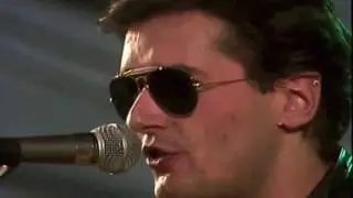 Opus & Falco - 