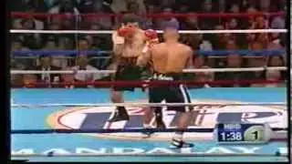 Fernando Vargas vs Wilfredo rivera
