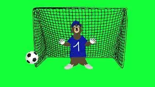 Bear Green Screen│Motion Graphic Transitions│Green Screen│OBS