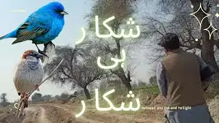 Hunting video 2023| hunting in pakistan | hunting zone 786