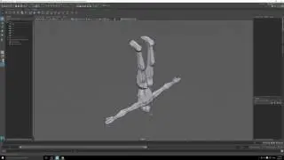 Joint Placement Video