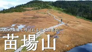【登山】2023.10.23 「天空の楽園」は実在したっ！日本百名山18座目！小赤沢三合目登山口から「苗場山」を登る！【新潟県・長野県】