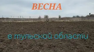 СЕРЕБРО ТУЛЬСКОЙ ОБЛАСТИ 4K