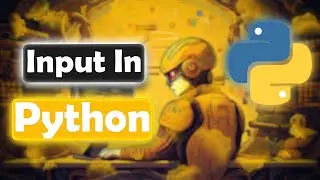 Python Input Function: Practical Examples & Exercises