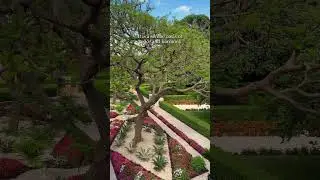 Have you visited the Bahai Gardens in Haifa?
