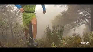 DELTAFLY safety shoes