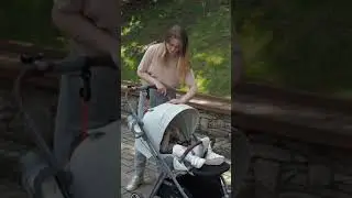 Коляска LUNA